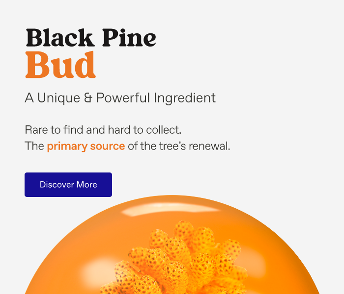 Black PIne Primus